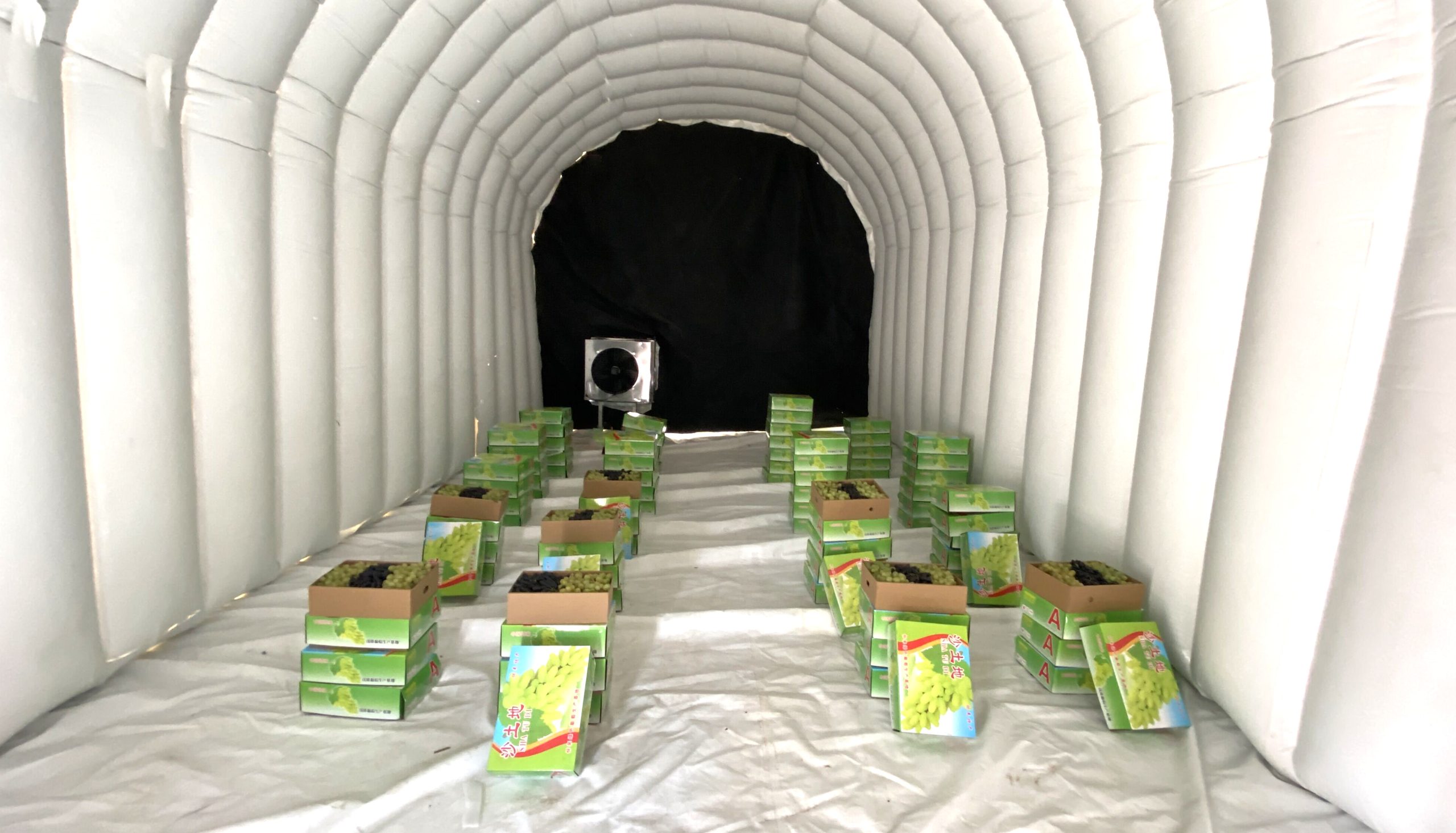 Как Hадувной ангар влияет на устойчивое развитие?