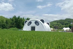 微信图片_20230620162923
