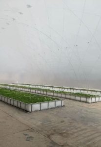 微信截图_20240517173226